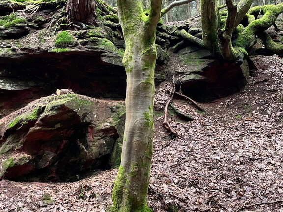 24-02-27 12-13-50 8742